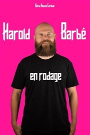 Harold Barbé | Nouveau spectacle Le Pont de Singe Affiche