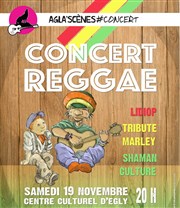 Concert reggae | Concert Agla'Scènes Centre culturel Affiche