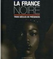 La France noire en questions Muse Dapper Affiche
