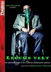 Légume vert ou le monologue d'un tétraplégique muet Thtre de Mnilmontant - Salle Guy Rtor Affiche