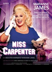 Miss Carpenter | Avec Marianne James Thtre Silvia Monfort Affiche
