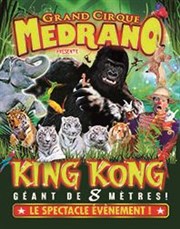 Cirque Medrano dans King Kong, Le Roi de la Jungle | - Chalon sur Saône Chapiteau Medrano  Chalon sur Sane Affiche