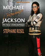 Michael Jackson l'Hommage Thtre Municipal d'Anzin Affiche