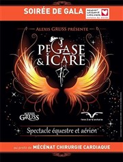 Gala Caritatif | Pégase & Icare | par Alexis Gruss Chapiteau Alexis Gruss Affiche