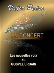 Victor Pedro & Friends en Concert Le Zbre Rouge Affiche