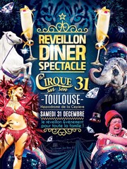 Le cirque sur son 31 Hippodrome de Toulouse Affiche