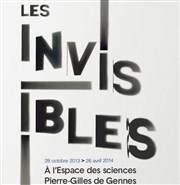 Les Invisibles Espace des sciences Pierre-Gilles de Gennes Affiche