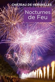 Les Grandes Eaux Nocturnes de Feu 2024 Jardin du chteau de Versailles - Entre Cour d'Honneur Affiche