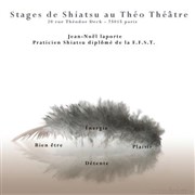 Stage découverte autour et sur le Shiatsu Tho Thtre - Salle Tho Affiche