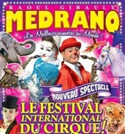 Le Grand Cirque Medrano | - Muret Chapiteau Medrano  Muret Affiche