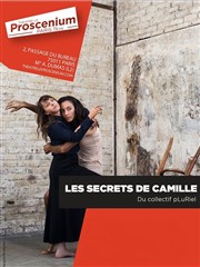 Les Secrets de Camille Thtre le Proscenium Affiche