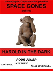 Harold in the Dark Improvidence Affiche