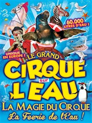 Le Cirque sur l'Eau | - Marseille Chapiteau Le Grand Cirque de Nol  Marseille Affiche