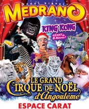 Medrano, le Grand Cirque de Noël | à Angoulême Chapiteau Medrano  Angoulme Affiche