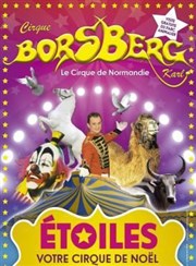 Cirque Borsberg dans Etoile | - Caen Chapiteau Cirque Borsberg  Caen Affiche