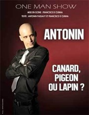 Antonin dans Canard, Pigeon ou Lapin ? Thtre Popul'air du Reinitas Affiche