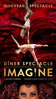 Cirque Imagine | Imagine Cirque Imagine - Grand Chapiteau Affiche