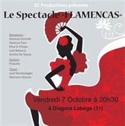 Flamencas Espaces de Congrs et d'Exposition - Toulouse Affiche