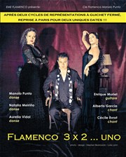 Flamenco 3x2 ... uno Maison des cultures du monde Affiche