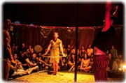Cirque Ozigno : Le Bar à Paillettes Cirque Electrique - La Dalle des cirques Affiche