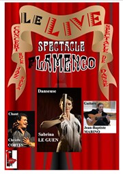 Sabrina le Guen | Flamenco Shag Caf Affiche