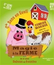 Magie à la ferme Comdie de Grenoble Affiche