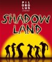 Shadowland | par Pilobolus Folies Bergre Affiche