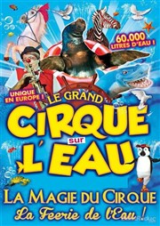 Le Cirque sur l'Eau | - Auch Chapiteau Le Cirque sur l'Eau  Auch Affiche