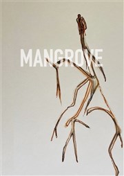 Mangrove Lavoir Moderne Parisien Affiche
