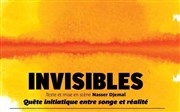 Invisibles Thtre 13 / Glacire Affiche