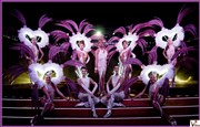 Cabaret-revue | Dîner-spectacle La Vnus Affiche