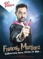 François Martinez dans Copperfield, Harry Potter et Moi Thtre le Palace - Salle 4 Affiche