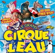 Le Cirque sur l'Eau | - Manosque Chapiteau Le Cirque sur l'Eau  Manosque Affiche