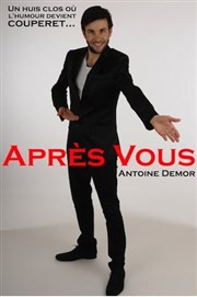 Antoine Demor dans Après vous Thtre le Nombril du monde Affiche
