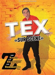 Tex dans Les zamis, Les zhumours, Les emmerdes Rouge Gorge Affiche