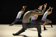 Batsheva Dance Company | Decadance Paris Chaillot - Thtre National de la Danse / Salle Jean Vilar Affiche