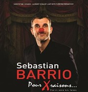 Sébastian Barrio dans Pour x raisons... Thtre Montmartre Galabru Affiche