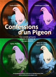 Confessions d'un pigeon Thtre municipal de Muret Affiche
