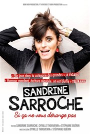 Sandrine Sarroche dans Si ça ne vous dérange pas La Compagnie du Caf-Thtre - Petite salle Affiche