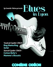 Blues in Lyon Thtre Comdie Odon Affiche