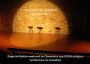 Stage de théâtre Laurette Thtre Avignon - Grande salle Affiche