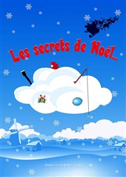 Les secrets de Noël Le Zygo Comdie Affiche