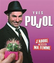 Yves Pujol dans J'adore toujours ma femme Spotlight Affiche