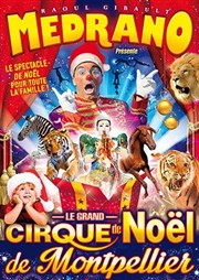 Spectacle Medrano | - Le Grand Cirque de Noël de Montpellier Chapiteau Medrano  Montpellier Affiche