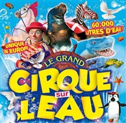 Le Cirque sur l'Eau | - Brignogan Plage Chapiteau Le Cirque sur l'eau  Brignogan Plage Affiche