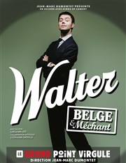 Walter dans Walter belge et méchant Le Grand Point Virgule - Salle Apostrophe Affiche