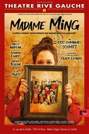 Madame Ming Thtre Rive Gauche Affiche