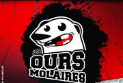 Match d'impro : Les Ours Molaires Maison pour tous George Sand Affiche