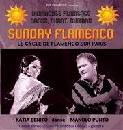 Sunday Flamenco Pniche Antipode Affiche