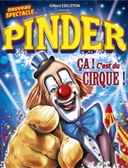 Cirque Pinder dans Ça c'est du cirque ! | - Avignon Chapiteau Pinder  Avignon Affiche